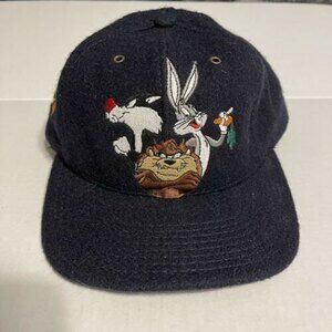 Acme Clothing Looney Tunes Warner Brothers Vintage Wool 1991 Snapback Hat